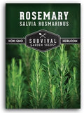 Rosemary Seeds for Planting – Survival Garden Seeds (1 Pack) by SurvivalGardenSeeds