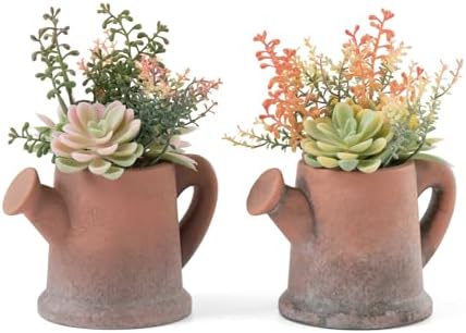 Artificial Succulents in Waterproof and Drop-resistant Pots with 2 Pack by Fuxdre