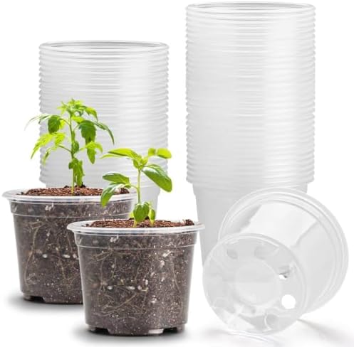RooTrimmer Clear Seedling pots 100-Pack 3.2 Inches Round for Seeds Starter Pots, Seeds Germination Transparent Clean Pots with Drainage Holes(100 Pcs, 3.14Inch) by RooTrimmer