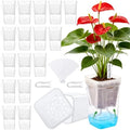 2.5" Clear Self Watering Pots for Indoor Plants,16PCS Mini Plastic Nursery Planters with Water Level Indicator & Drainage Holes for Propagation,Succulents,Seedling,African Violet,Plant Labels by zalovvi