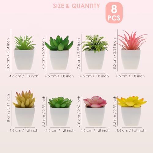 Woration 8Pcs Mini Artificial Succulent Plants Simulation in White Pots Small Fake Succulents Decoration for Bedroom Aesthetic Living Room Office Shelf - Image 3