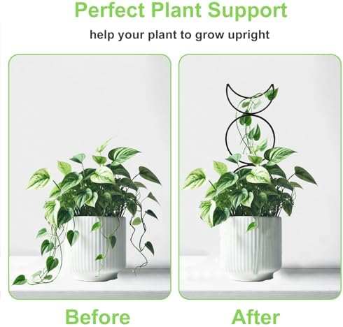 4 Packs Trellis for Climbing Plants Indoor, HENABLE Small Garden Metal Trellis for Potted Plants Outdoor for Vine Ivy Flower Plant Support, 4 Different Black Iron Patterns - Image 5
