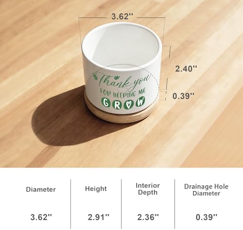 DOFAFALA Thank You for Helping Me Grow - Funny White 3.5 inch Ceramic Planter Pot with Bamboo Tray, Cactus Succulent Pots, Teachers Appreciation Gift for Daughter Son Friends - Image 5
