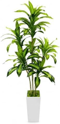 Artificial Dracaena Tree with White Tall Planter, 6FT by FLRLIVING