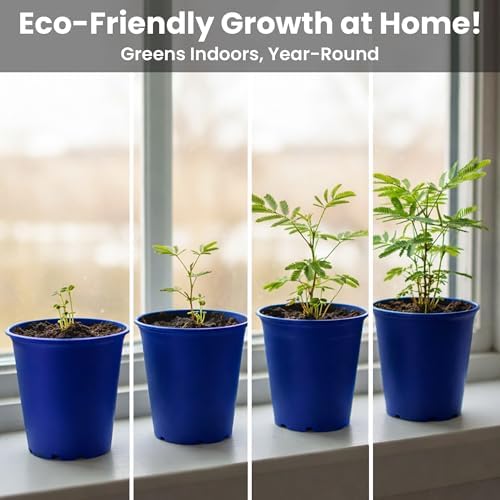 Deluxe Family Greenhouse Kit - Grow the Playful Plant that Closes Its Leaves When Tickled! Includes Mini Greenhouse, 3 Seed Packets, Soil Pellets & Pots - Fun Indoor Gardening Gift - Image 6