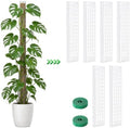 Plastic Moss Pole for Monstera and Climbing Plants, 6Pcs 15" Plant Poles by Unknown