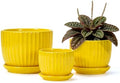 Ceramic Planters,Yellow Plant Pots with Drainage Holes and Saucers Set of 3 by TonSin