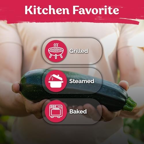50 Black Beauty Zucchini Heirloom Vegetable Seeds, Cucurbita Pepo - Image 6