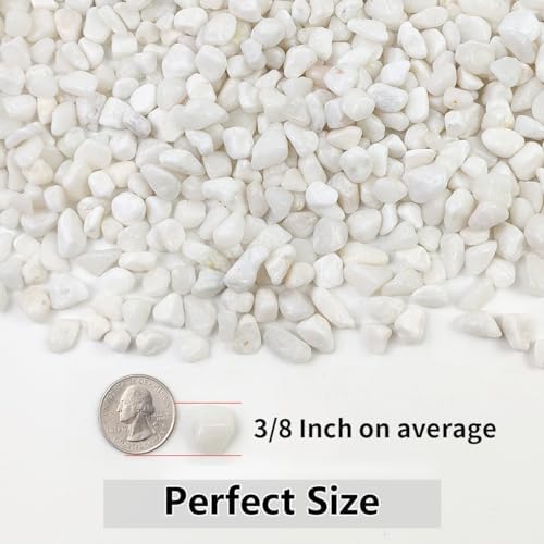 YISZM 10LB Succulent and Cactus Gravel Pebbles, 3/8 Inch White Stones - Image 4