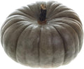 25 Jarrahdale Pumpkin Seeds for Planting - Heirloom Blue-Grey Pumpkin, Non-GMO, USA Grown - Cucurbita Maxima for Pies, Soups, Roasting & Fall Decor by RDRSeeds