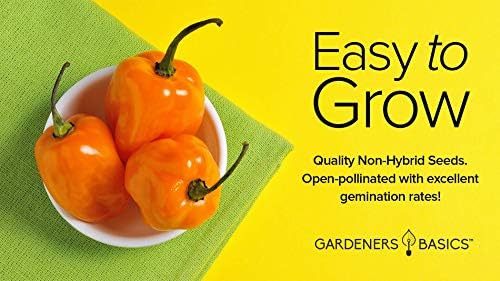 Gardeners Basics, Orange Habanero Pepper Seeds for Planting Heirloom Non-GMO Hot Habanero Peppers Plant Seeds for Home Garden Vegetables Makes a Great Gift for Gardeners - Image 3