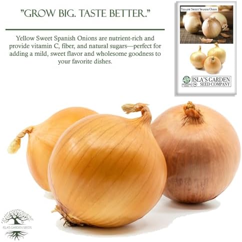Yellow Sweet Spanish Onion Seeds (Allium cepa) – 750+ Non-GMO Heirloom Seeds by Isla’s Garden Seeds, Mild & Sweet Flavor, Large Golden Bulbs, Excellent for Cooking, Slicing & Storage, Garden Gift Idea - Image 5