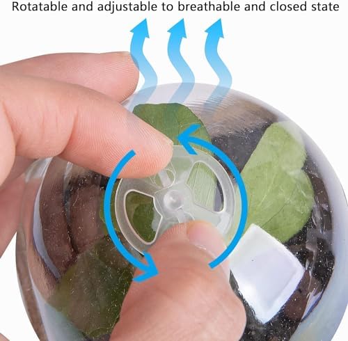 40 Packs Biodegradable Pots with Humidity Dome, 3.1" Seed Starter Peat Pots - Image 4