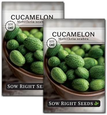 Sow Right Seeds - Cucamelon Seed for Planting Mexican Sour Gherkins 2pk by SowRightSeeds