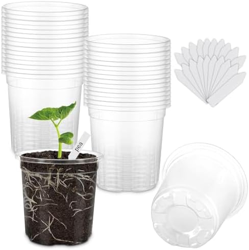 30 Pack Clear Nursery Plant Pots, 4 Inch with Drainage Holes, 20 Labels by WandaQueen