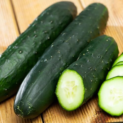 Eden Brothers Cucumber Seeds - Poinsett 76 - Image 2
