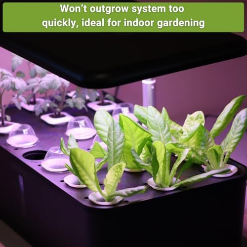 Sow Right Seeds - Hydroponic Vegetable Seeds for Planting - Lettuce, Kale, Arugula, Pak Choi, Watercress & Cherry Tomato Seeds for Planting and Growing Hydroponics - Perfect for Indoor Growing System - Image 5