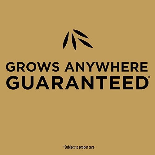 Scotts EZ Seed Patch & Repair Tall Fescue Lawns, 40 lbs. - Image 7