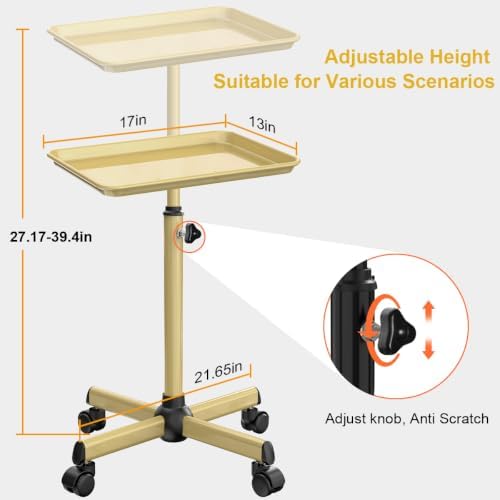 Salon Tray Cart Metal Tattoo Tray Height Adjustable Spa Service Trolley - Image 4