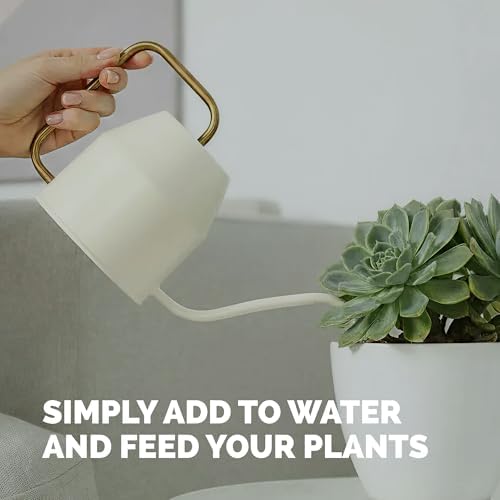 Succulent Fertilizer - Liquid Plant Food for Vibrant, Compact Growth, 8 oz - Image 5
