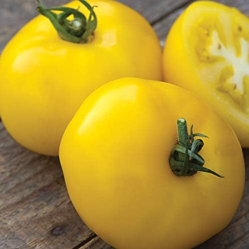 Burpee 'Sunny Boy' Hybrid, Yellow Beefsteak Slicing Tomato, 30 Non-GMO Seeds - Image 2