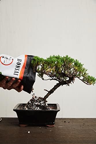 Bonsai Soil All Purpose Mix | Fast Draining Pre Blend (2 Quart Bag) Plant | Pumice, Lava, Calcined Clay and Pine Bark ● Potting Pre Mixed Bonsai Plant Soil Mixture By The Bonsai Supply (Pack of 2) - Image 5