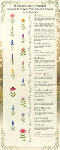 Wildflower Seeds for Pollinators Garden – Premium Pollinators™ – 16-Species Flower Mix for Bees, Butterflies & Hummingbirds – Annuals & Perennials – 8 oz Covers 1,000 Sq Ft – Paper Street Perennials® - Image 4
