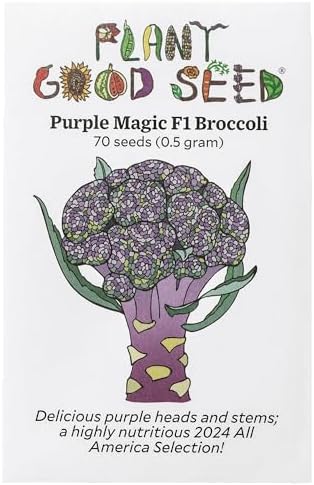 Purple Magic F1 Broccoli Seeds for Planting: 70 Count by ThePlantGoodSeedCompany