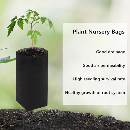 Belit 50 Pcs 13.5" H Deep Nursery Grow Bags, Non-Woven Plants Pots Container for Starting Deep Rooted Plants Vegetable, Flower, Seedling Tree, Black - Image 3