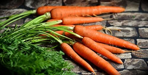 Black Duck Brand Set of 43 Vegetable and Herb Seeds - Semi Assorted - 100 Percent Non-GMO & Heirloom - Great for Starting a Garden! High Germination Rate! (43) - Image 7