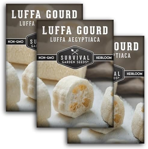 Luffa Gourd Seeds for Planting - Survival Garden Seeds (3 Pack) by SurvivalGardenSeeds