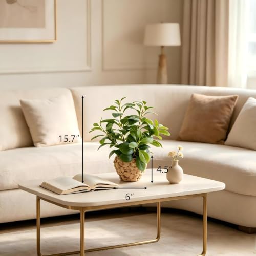 AlphaAcc Fake Faux Potted Plant 15.7" Ficus Water Hyacinth Boho Decor - Image 2