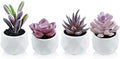 Tiita Mini Purple Artificial Succulents in Pots, 4 Pack for Desk Decor by TiitaHome