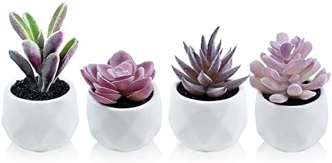Tiita Mini Purple Artificial Succulents in Pots, 4 Pack for Desk Decor by TiitaHome