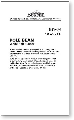 Burpee White Half Runner Pole Bean Seeds 2 ounces of seed - Image 3