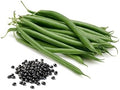 SVI 20 Cherokee Trail of Tears Bean Seeds (Phaseolus Vulgaris) - Cherokee Black Bean Seed Packets, High Yield Pole Beans, Climbing Beans - Heirloom Vegetable Seeds for Trellises, Outdoor Garden Beds by SVI