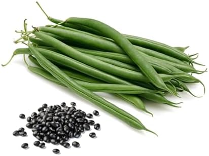 SVI 20 Cherokee Trail of Tears Bean Seeds (Phaseolus Vulgaris) - Cherokee Black Bean Seed Packets, High Yield Pole Beans, Climbing Beans - Heirloom Vegetable Seeds for Trellises, Outdoor Garden Beds by SVI