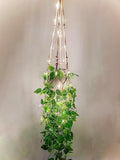 Comtelek Fake Hanging Plants with Lights Artificial Plants for Home Decor Macrame Plant Hanger with Fake Vines Faux Hanging Planter for Wall Ceiling Bedroom Bathroom Kitchen Office Boho Decor Indoor by Comtelek