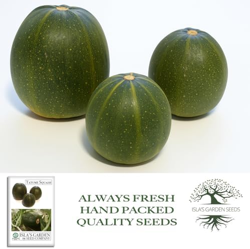 Tatume Squash Seeds (Cucurbita Pepo) – Also Known as Calabacita, Tatuma, or Mexican Round Zucchini – 30+ Non-GMO Heirloom Seeds by Isla’s Garden Seeds, Vigorous Vining Summer Variety, Heat-Tolerant - Image 5