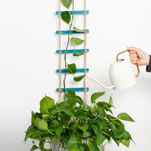 Blue Plant Ladder Indoor Plants Hanging Wooden Trellis for Vine - Image 6