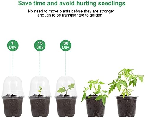 MIXC Nursery Pots with Humidity Dome, 4" Plant Pot 30 Pack, Transparent - Image 4