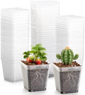 RooTrimmer 2.7 Inch Square Nursery Pots, 60 Packs Clear Seedling Pots with Drainage Holes, Reusable Propagation Pots Small Plant Container for Indoor Outdoor Gardening by RooTrimmer