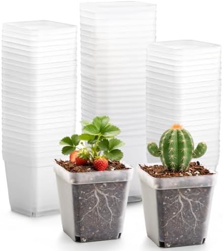 RooTrimmer 2.7 Inch Square Nursery Pots, 60 Packs Clear Seedling Pots with Drainage Holes, Reusable Propagation Pots Small Plant Container for Indoor Outdoor Gardening by RooTrimmer