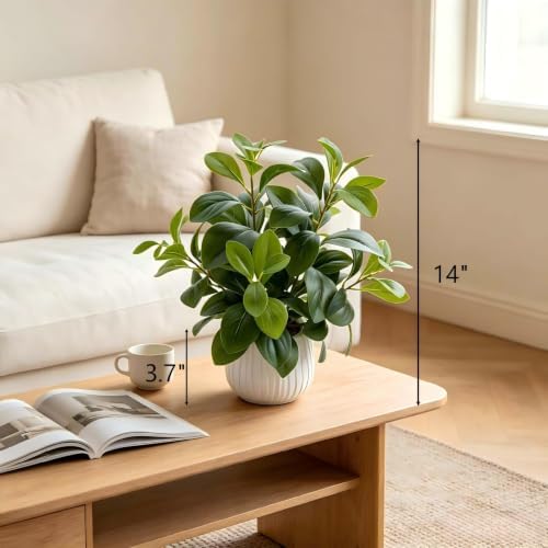 AlphaAcc Small Fake Plants Indoor for Office Bathroom Shelf Decor - Image 2