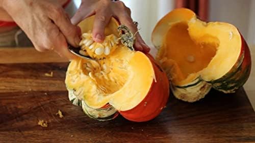 Turk's Turban Pumpkin Seeds - 40+ Count Packet - for 2024 Girauman French Cap Hat Rainbow Winter Squash Gourd Fall Vegetable Seed - Image 5