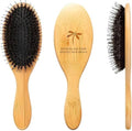 Belula Boar Bristle Hair Brush for Women and Men, Detangle Any Type of Hair by Belula