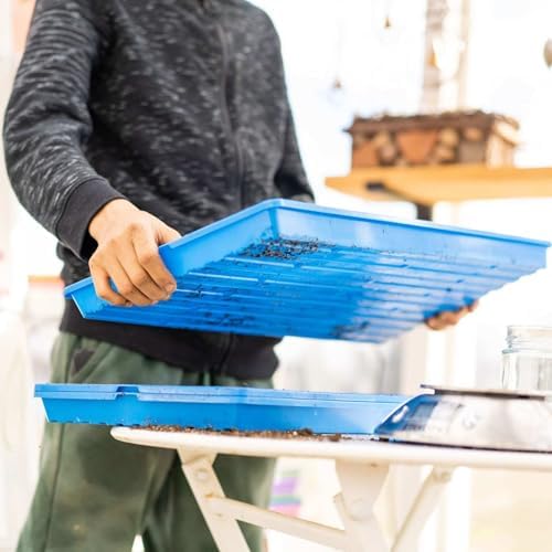 Bootstrap Farmer Extra Strength 1020 Trays, Blue, 10 Trays with Holes - Image 3