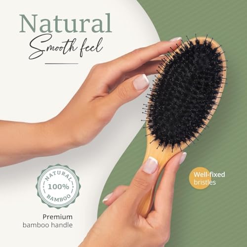 Belula Boar Bristle Hair Brush for Women and Men, Detangle Any Type of Hair - Image 4