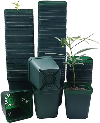 RooTrimmer Square Nursery Seedling Pot 3.5 Inches 90 Pcs, Small Nursery Pot Plastic Thick and Sturdy Seed Start Germination Pot for Plant Propagation and Seeding(Green,3.54 Inches, 90Pcs) by RooTrimmer