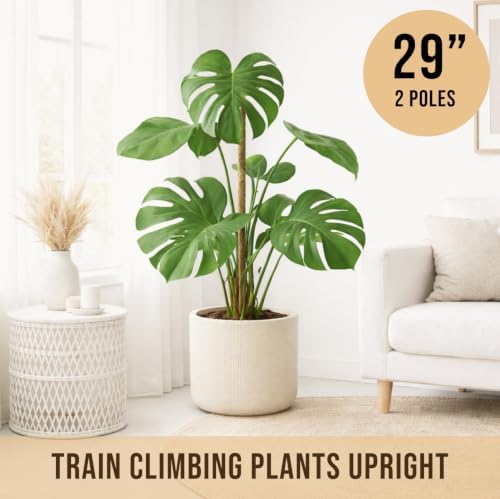 Craft911 29" Moss Pole Monstera Plant Support, Indoor Plant Stakes - Image 4